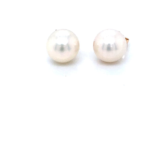 Freshwater Pearl 8-8.5mm 9ct Gold Stud Earrings GEP208
