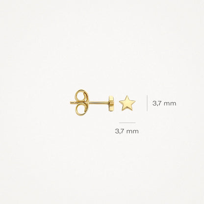 Blush Earrings 7247YGO - 14k Yellow Gold Star Studs