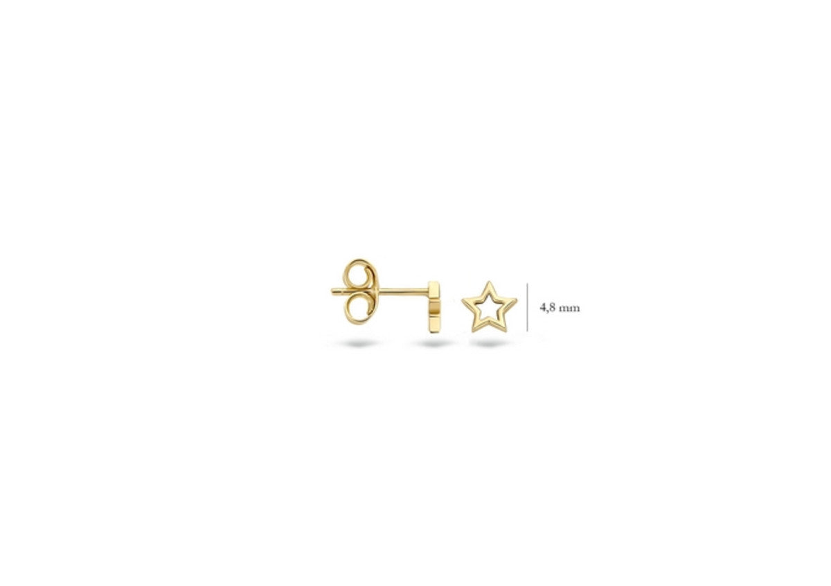 Blush Earrings 7248YGO - 14k Yellow Gold Open Star Studs