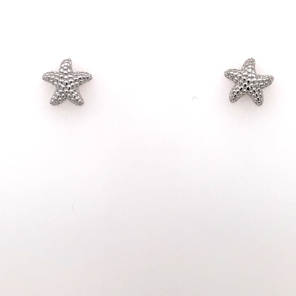 Silver Starfish Stud Earrings NK023/E