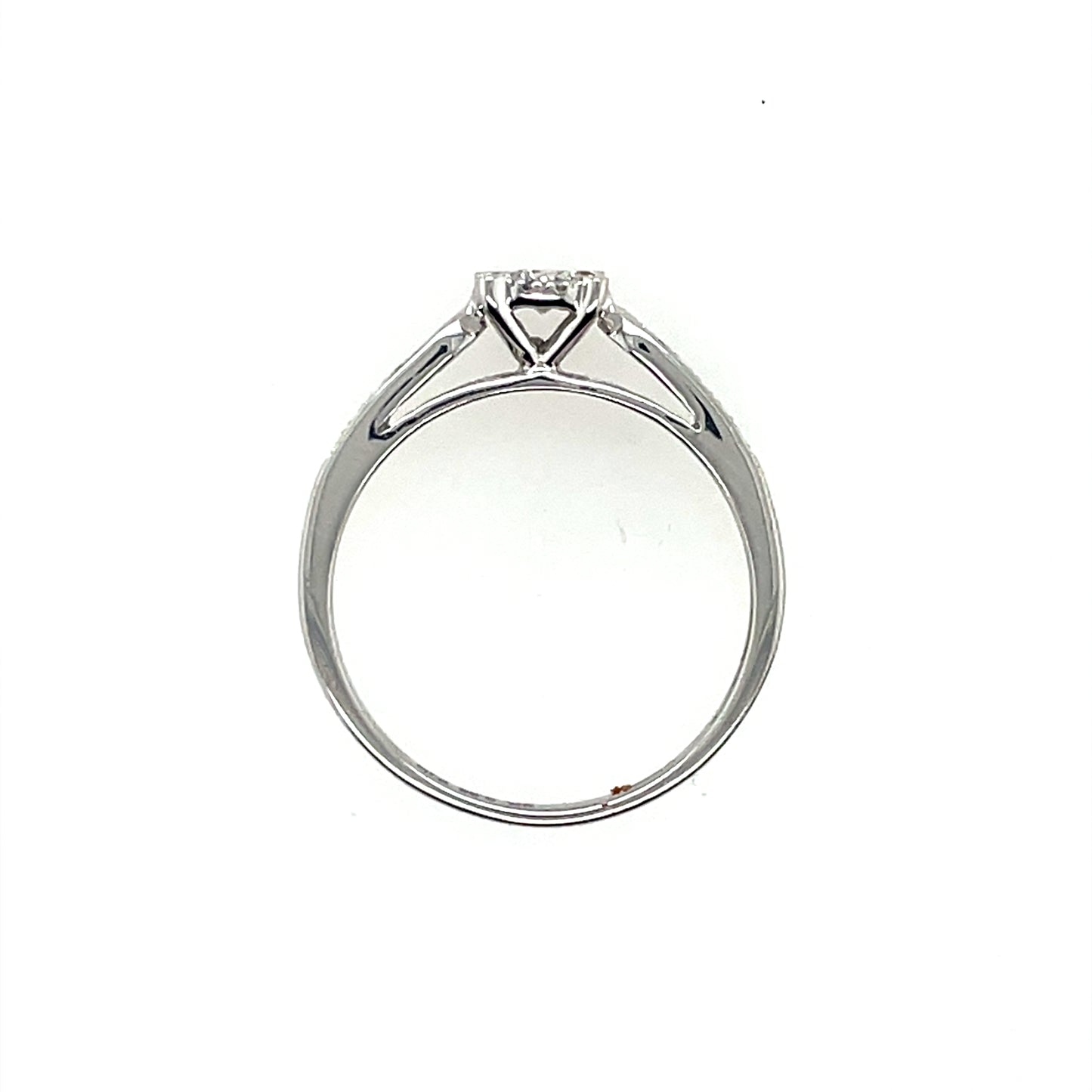 9ct White Gold Diamond 0.25ct Halo Solitaire Ring Z120