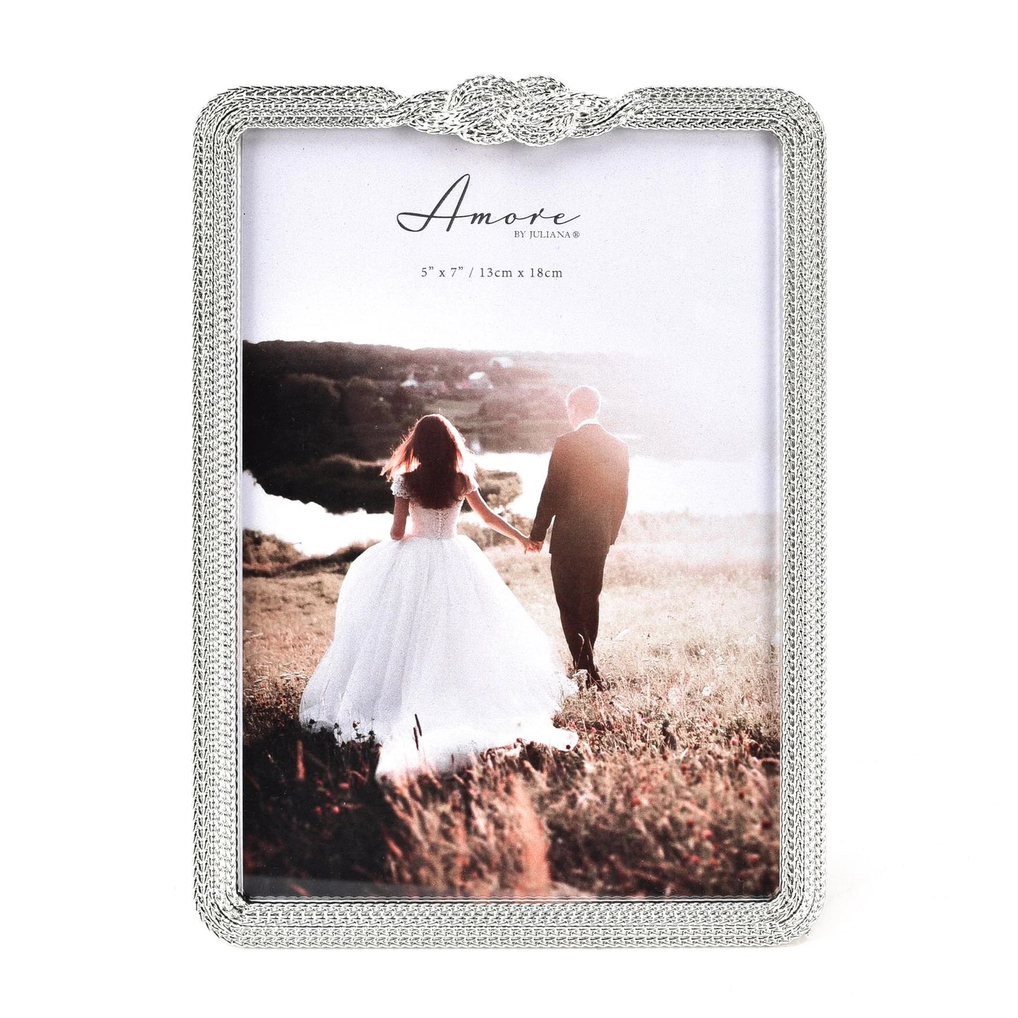 Amore Silverplated Infinity 3D Knot Frame - 5" x 7" WG14757