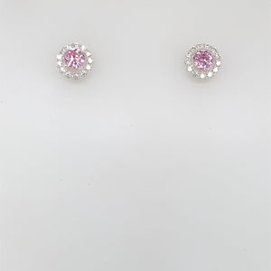 Silver Pink CZ Halo Stud Earrings 305/P