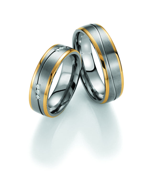 Titanium Wedding Ring with Yellow Gold Edges