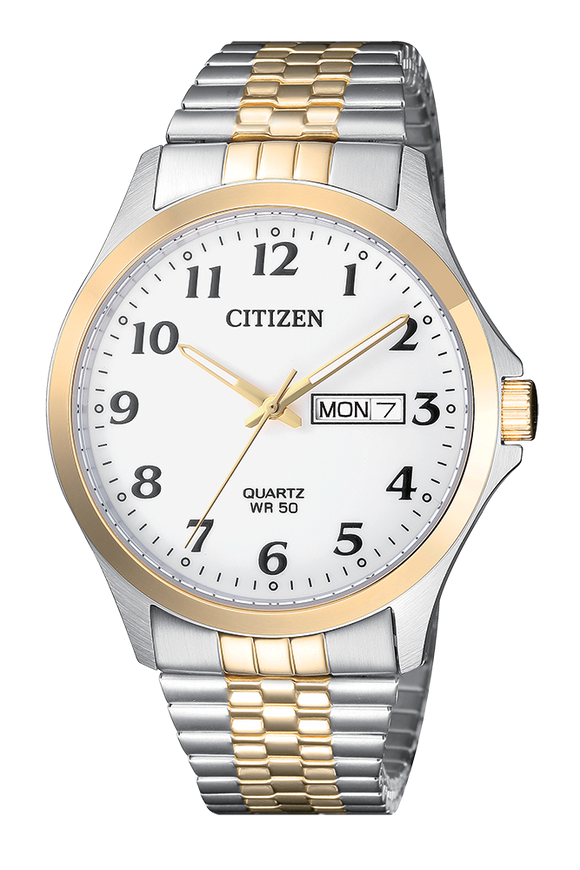 Citizen Men's Quartz Expander Watch BF5004-93A