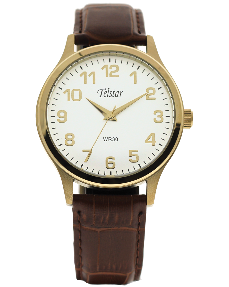 Telstar Men's Gold Brown Strap Watch M1035 LYW