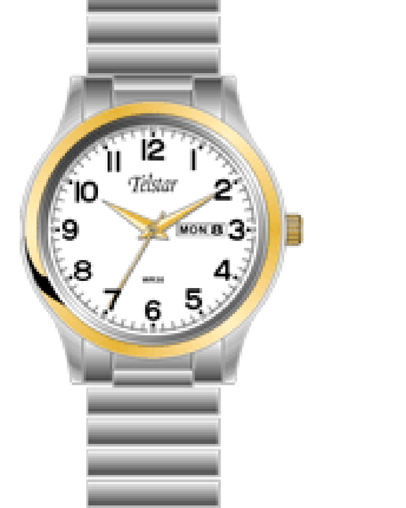 Telstar Men's Steel Two Tone White Expander Watch M1065 XXW