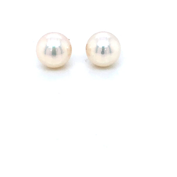 Freshwater Bouton Pearl 7.5-8mm 9ct Gold Stud Earrings GEP351