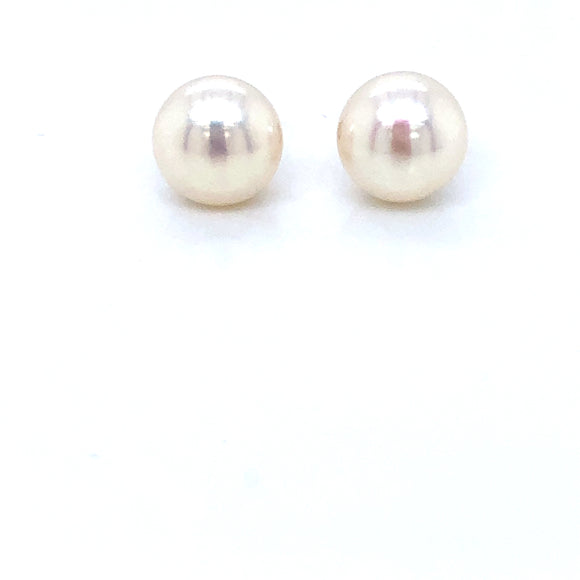 Freshwater Bouton Pearl 8.5-9mm 9ct Gold Stud Earrings