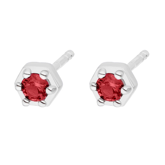 Silver Delicate Touch Stud Earrings Red