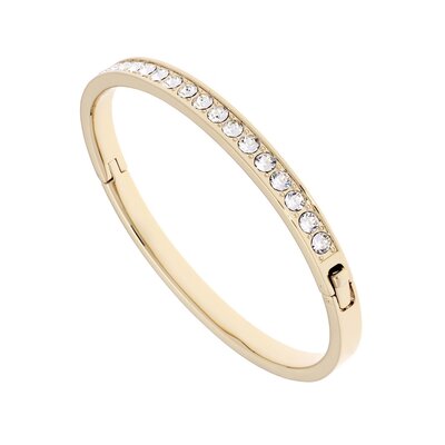 TED BAKER CLEMARA CRYSTAL HINGE BANGLE