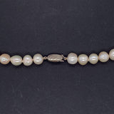 Freshwater Pearl 7/8mm Necklace