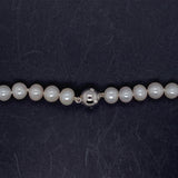 Freshwater Cultured Pearl 7.5/8mm Necklace