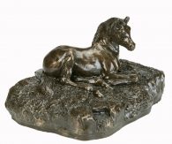 Bronze Foal